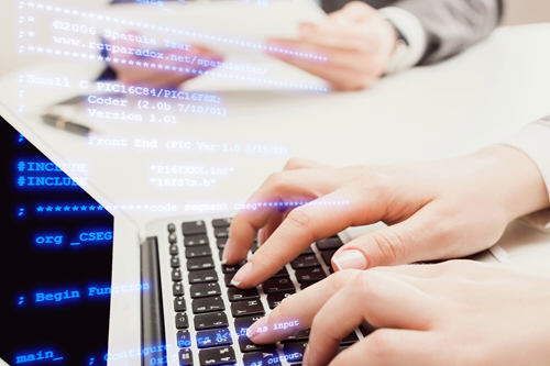 sviluppo siti web piacenza