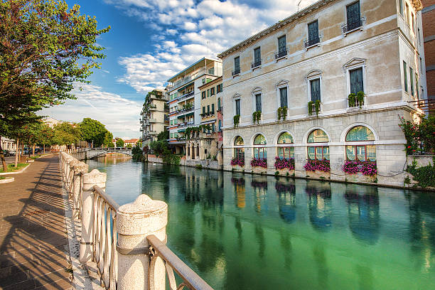 Treviso siti internet agenzie web