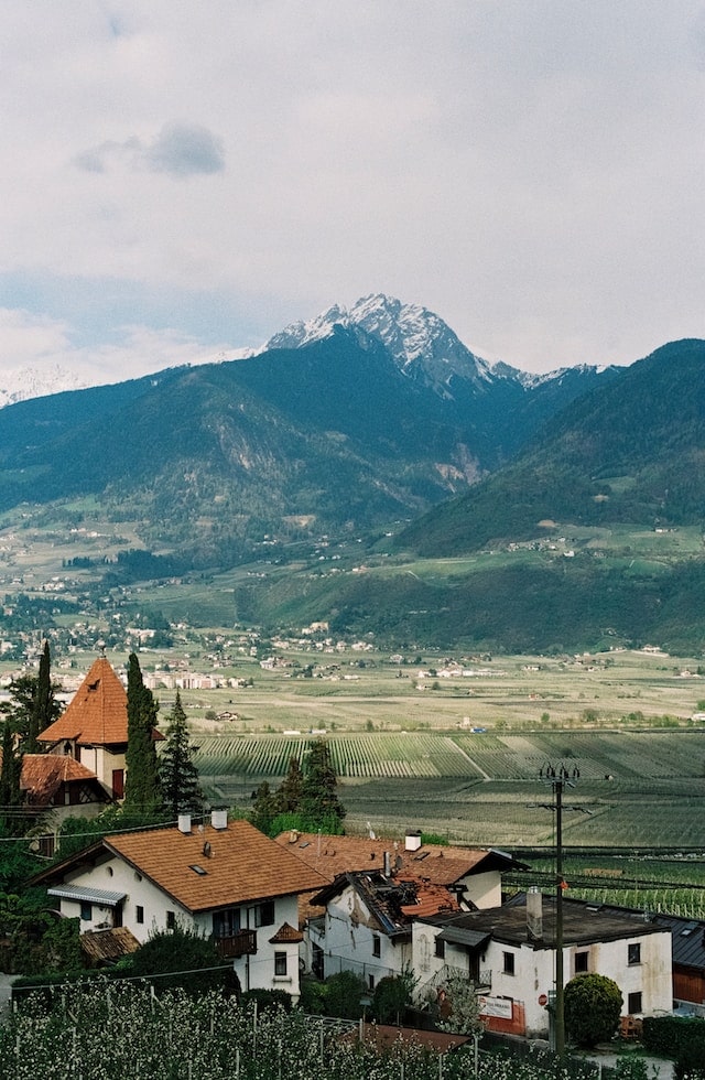 agenzie e-commerce professionali a belluno e provincia