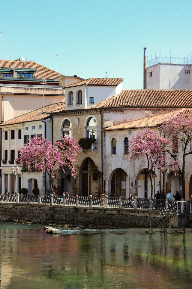 agenzia web a Vadelago Treviso