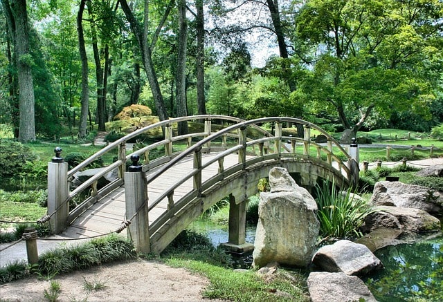 creazione professionale siti web per giardinieri - agenzia web Italia - ETAZ Web Art Solutions
