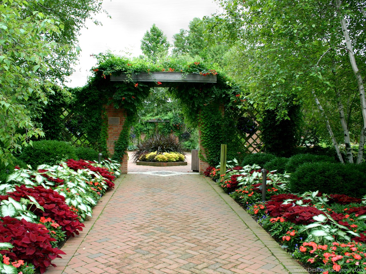 realizzazione siti giardinaggio
