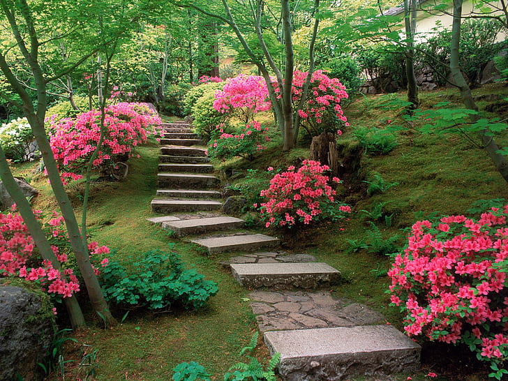 aziende siti internet per giardinieri