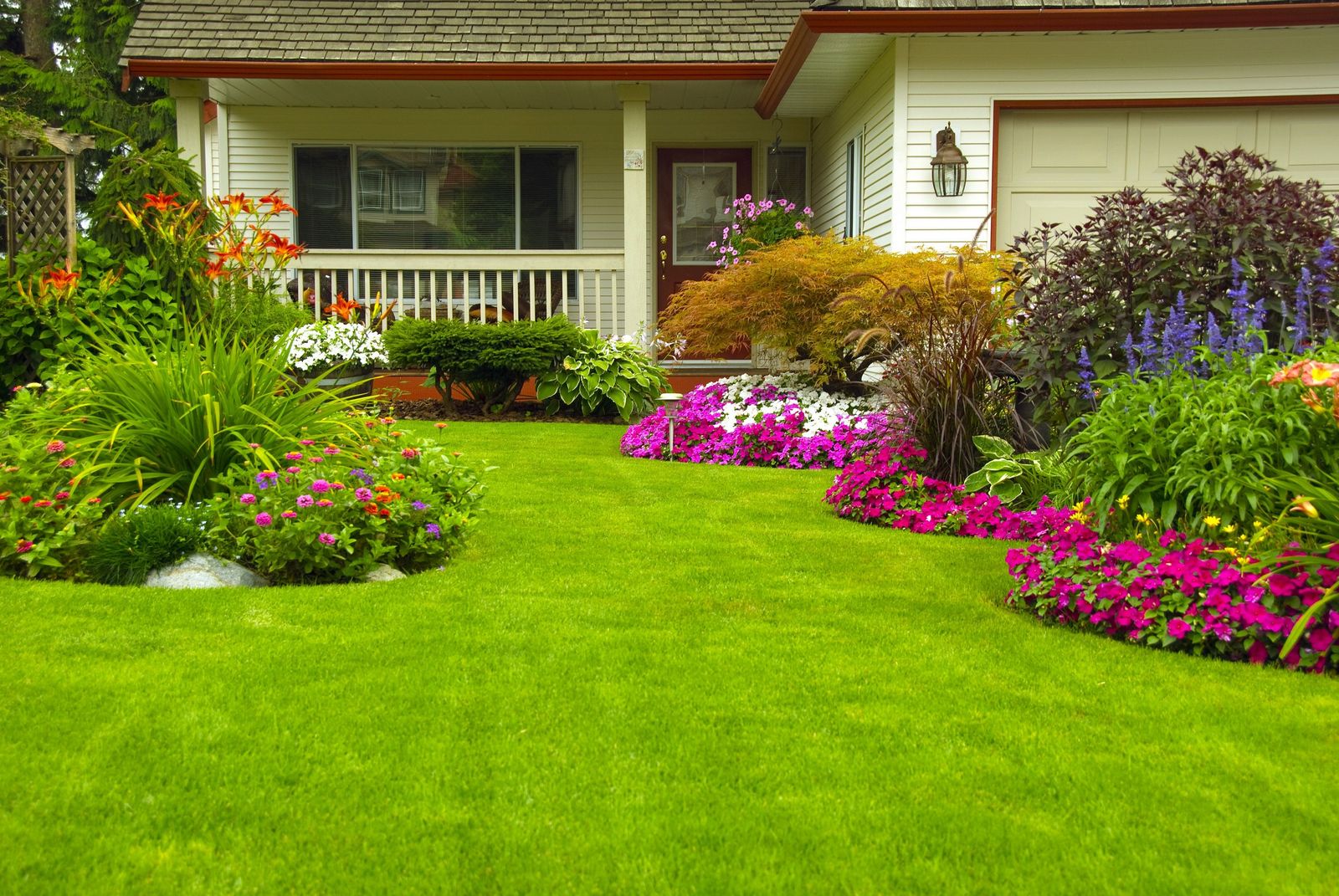 creazione siti per mautenzione giardini