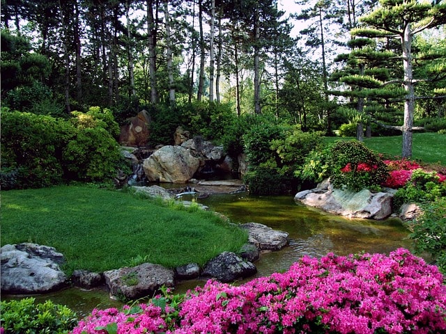 sviluppo siti web per giardinieri ed operatori del verde - agenzia web italiana - ETAZ Web Art Solutions