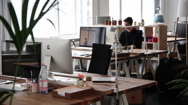 web agency professionale di Bologna